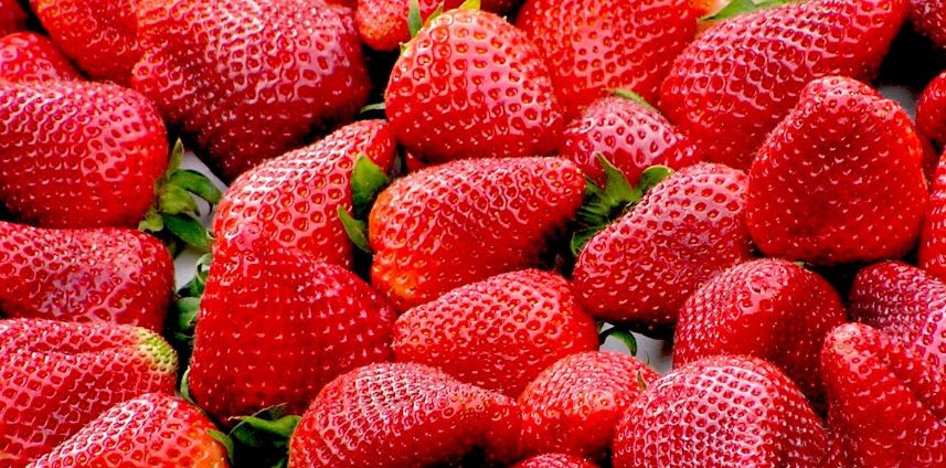 A delicious way to help strawberry farmers